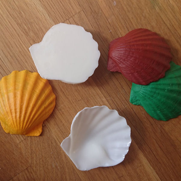 Seashells